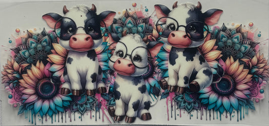 Cows With Glasses